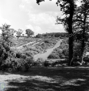 Northern Horticultural Society Gardens, 1960
